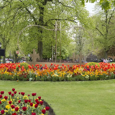 酒店 皇冠酒店 3*